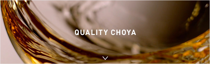 もちろん】 送料無料 ケース販売 CHOYA チョーヤ梅酒 無添加本格梅酒 パック 1.8L×6本 /1ケース リカーBOSS PayPayモール店  - 通販 - PayPayモール もちろん - shineray.com.br