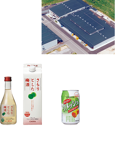 Iga Ueno Fabrik,CHOYA SARARI (seit 1996), CHOYA UME SODA Non Alcohol (seit 2011)