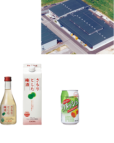 伊贺上野工厂、CHOYA清爽梅酒（1996～）、不醉的汽泡酒（2011～）